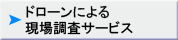 h[ɂ錻꒲T[rX